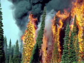 Red Lodge Resort got a big scare this summer with a forest fire licking the edge of the ski hill.