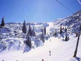 Andalo, Italy is offering half price children's ski passes for a limited time.