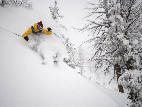 A skier crashing through powder at Jackson Hole, Wyo.