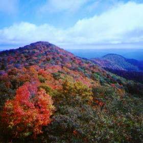 Autumn in West Virginia's Canaan Valley.