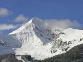 A number of airlines are offering flights into Bozeman this season.