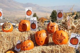 Halloween brings Schweitzer's Fear Fest.