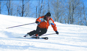 The White Gold Card means plenty of Michigan skiing and riding.