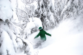 Slopeside Lodging deals ready at Whitefish. 