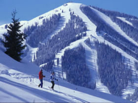 Where are all the ski instructors?