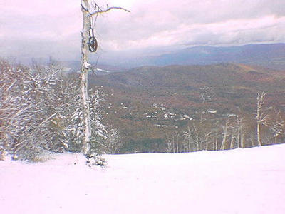Sugarbush