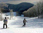Wintergreen - Wintergreen   