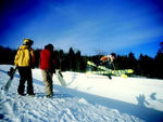Snowshoe - Snowshoe   