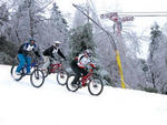 Blue Mountain - Bikes at Blue Mountain