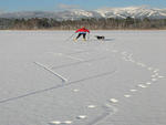 Whitefish - Cross Country  