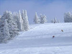 Grand Targhee - Downhill skiiing  