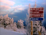 Stratton - Checking the trails 