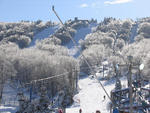 Camelback - Camelback   