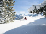 Beaver Creek - Deep Powder In Beaver