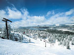 Snow Summit