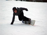Cataloochee - Cat Boarder  