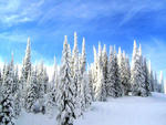 Sun Peaks - Sun Peaks  