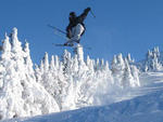 Mt. Bachelor - Mt. Bachelor - David