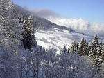 Maria Alm