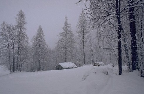 Ala Di Stura